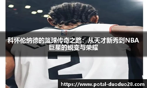 多多28平台